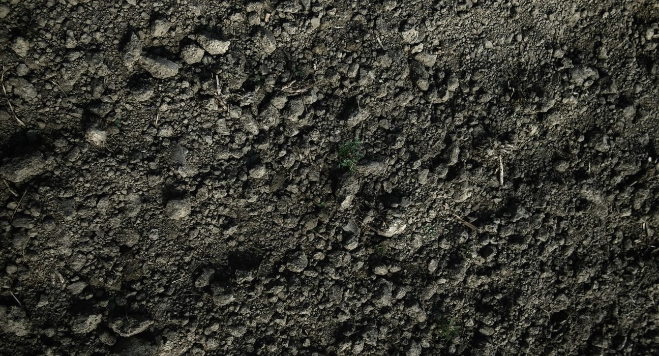 Купити мікродобриво