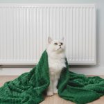 Как разливают пиво в бутылки на заводе?