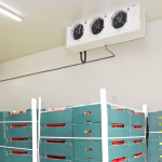 Сравнение смартфонов Xiaomi 15T и Xiaomi 15T Pro